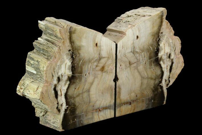 Petrified Wood Bookends - Oregon #125078